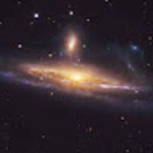 Meet your Posher, Joshua